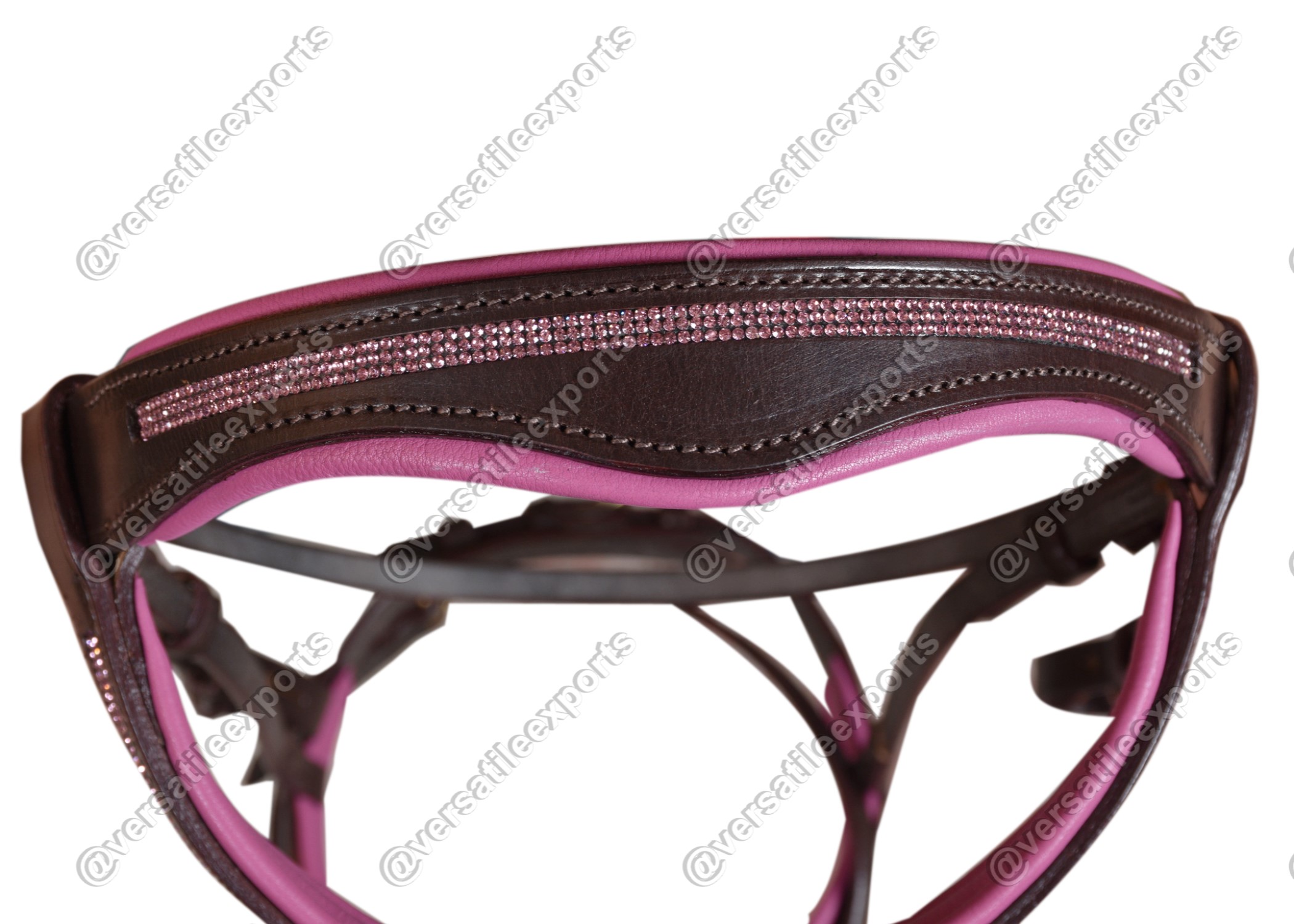 Bridle Shiny